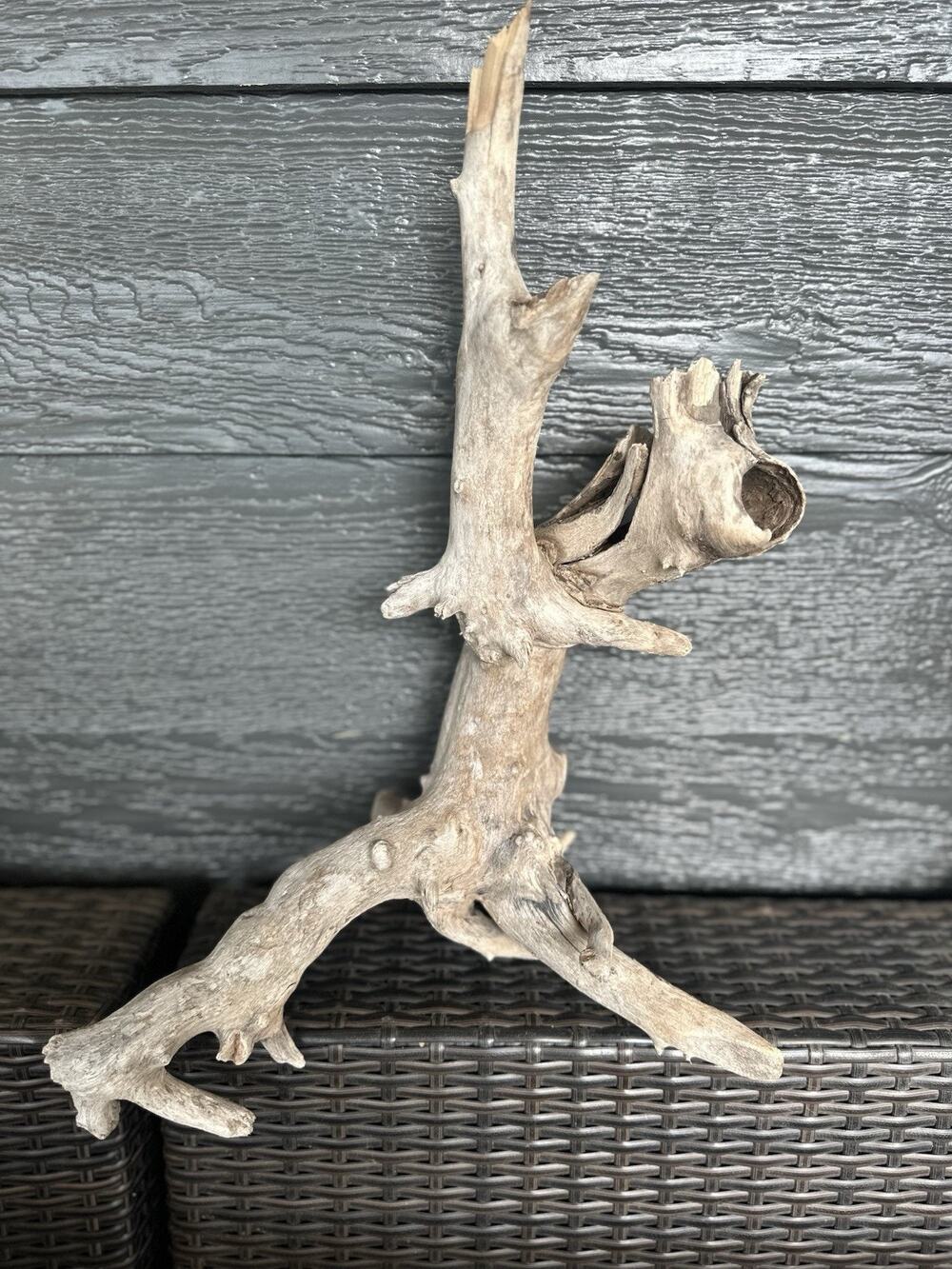 Natural Great Lakes Driftwood Large Branchy Reptile Terrarium Decor Appox 17x14